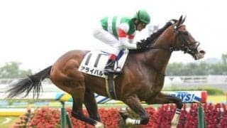 新潟２歳Ｓは血統から素質を見る。このレースから大物に育っていきそうな２頭は？