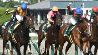 【キーンランドC予想】ピッタリの馬格で条件も有利な1頭 前のツナギが極端に立って見えても問題なし/JRA重賞レース展望