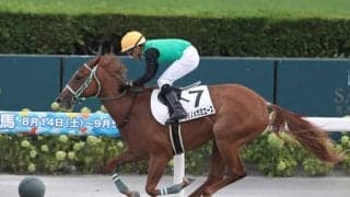 【札幌5R新馬戦結果】エスポワールシチー産駒クリノメガミエースが8馬身差圧勝