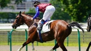 【海外競馬】昨年の凱旋門賞2着馬インスウープが障害用種牡馬に