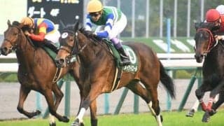 【キーンランドC前日オッズ】メイケイエールが2.5倍で1番人気