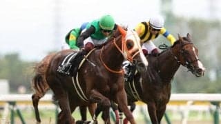 【万哲の馬場予報】淡々と流れれば、勝ち馬は「好位勢」から？