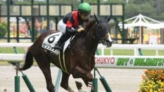 【新潟2歳S】セリフォス陣営「平坦コースのほうが競馬が楽」/ねぇさんのトレセン密着