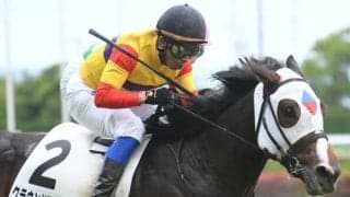 【新潟2歳S】クラウンドマジック陣営「早くからここを目標に調整」/ねぇさんのトレセン密着