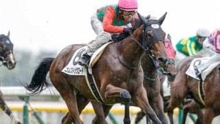 【新潟2歳S予想】AI予想の1番手は産駒最初の重賞制覇目指す伏兵 「父の悔しさ晴らす時は来た」/JRA重賞レース展望