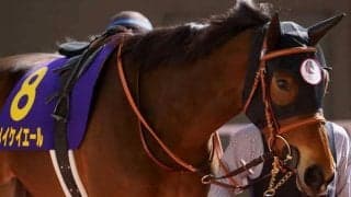 【本日の注目ポイント】札幌でキーンランドC、新潟では新潟2歳S