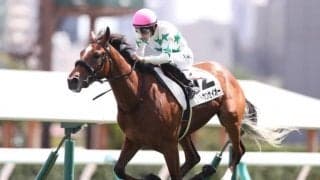 【札幌5R新馬戦結果】レイトカンセイオーが早め先頭から押し切り人気に応える