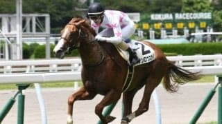 【小倉5R新馬戦結果】モーリス産駒マテンロウスカイが鋭く伸びて5馬身差圧勝