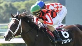 【JRA・WIN5】本日のWIN5は的中709票、配当81万5350円