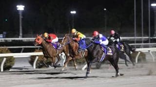 【地方競馬】高知競馬で3連複最高配当の102万馬券