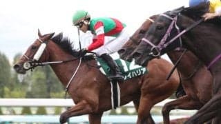 【キーンランドC結果】3歳牝馬レイハリアが押し切り重賞連勝！