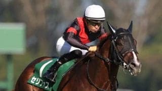 【勝負の分かれ目 新潟2歳S】父譲りの勝負強さでセリフォスが完勝