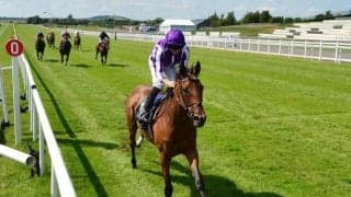 【海外競馬】スノーフォールはヴェルメイユ賞、セントマークスバシリカは愛チャンピオンSを視野に