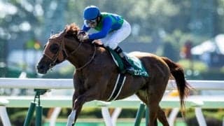 夏競馬最終週は3重賞　新潟記念・札幌2歳S・小倉2歳S/今週の競馬界の見どころ