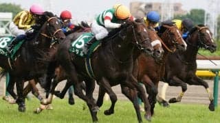 【新潟記念登録馬】ザダルなど18頭