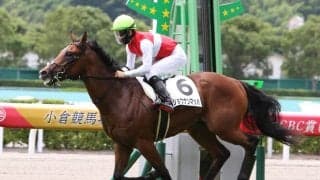 【小倉2歳S登録馬】ショウナンマッハなど13頭