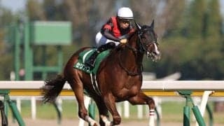 【新潟2歳S】売上は45億6000万4400円で昨年からおよそ8億円の増加