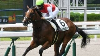 【小倉2歳S見どころ】新馬戦完勝のショウナンマッハが人気の中心か