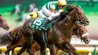 【新潟記念見どころ】ザダルが重賞連勝を狙う