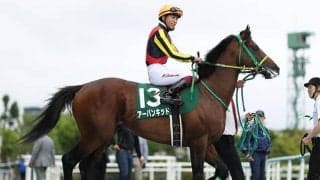 【先週のJRA抹消馬】16年毎日杯2着、ラジオNIKKEI賞3着のアーバンキッド、19年府中Sの勝ち馬ダノンキングダムなど
