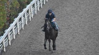 フラーレン半弟ドウデュースがデビュー/関西馬メイクデビュー情報