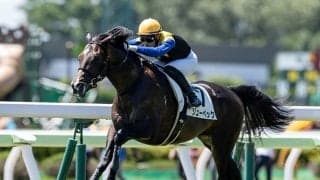 【札幌2歳S想定騎手】リューベックは横山武史騎手、ジオグリフはC.ルメール騎手
