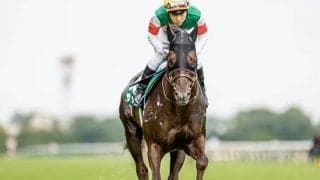 【新潟記念ハンデ確定】前走で重賞を勝ったザダル、トーセンスーリヤともに57.5kg