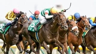 【新潟記念想定騎手】ザダルは石橋脩騎手、トーセンスーリヤは横山和生騎手