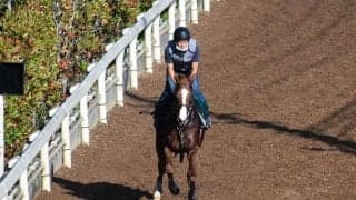 ベストウォーリアの弟メジャーアドバンスなど、先週の入厩情報/栗東トレセンニュース