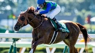 【新潟記念予想】力で苦戦データをねじ伏せる AIの本命候補はハンデ増の1頭/JRA重賞レース展望