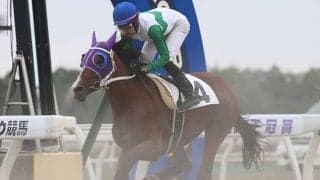 【地方競馬】トウカイテイオー最後の産駒、9月2日門別で仕切り直しの2戦目