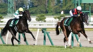 【新潟2歳S】セリフォスがデビュー2連勝！最内から抜け出す