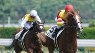 【新馬/新潟5R】ビッグアーサー産駒 トウシンマカオがデビューV