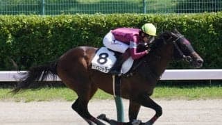 【新馬/新潟6R】マクフィ産駒 インコントラーレ9馬身差圧勝！