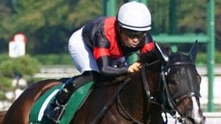 【新潟2歳S】川田「能力の高い馬」セリフォスが重賞初制覇