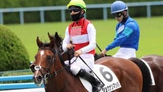 【小倉2歳S予想オッズ】新馬戦圧勝のショウナンマッハが1番人気