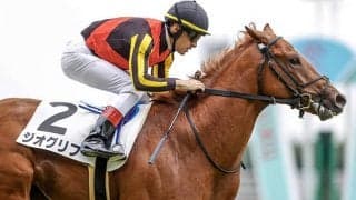 【札幌2歳S予想オッズ】リューベックとジオグリフが人気を分け合う