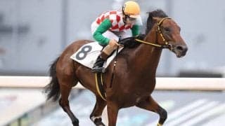 【川崎・シャイニングメモリー賞結果】矢野貴之騎手騎乗の4番人気イライジャが勝利