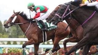 「母方にサンデーサイレンスとトニービン」成績優秀なロードカナロア産駒の配合パターン