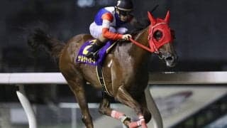 【川崎・スパーキングサマーC結果】サルサディオーネが逃げ切って断然人気に応える！重賞5勝目