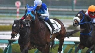 【新潟記念展望】夏競馬を締めくくるハンデ重賞、近年は差しが決まる
