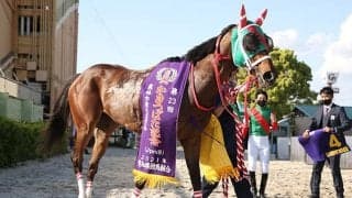 【サマーチャンピオン】福永祐一騎手、松山弘平騎手、幸英明騎手が乗り替わり