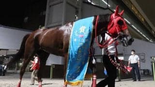 【スパーキングSC】売上は6億円超、1日売上は18億円超でともにレコード更新