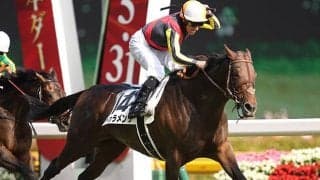 2015年の二冠馬ドゥラメンテが死亡、9歳　種牡馬としても活躍の矢先