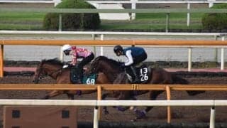 ルペルカーリア、セントライト記念2週前追い切り速報/栗東トレセンニュース