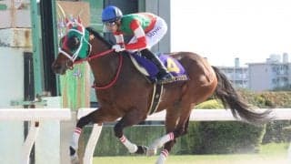 【サマーチャンピオン】新型コロナの影響でJRA3騎手が乗り替わり