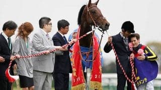 ドゥラメンテ訃報に堀調教師「最高のサラブレッドの一頭」