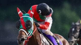 【サマーチャンピオン】鮫島克「自分の競馬をするだけ」ラプタスが圧勝