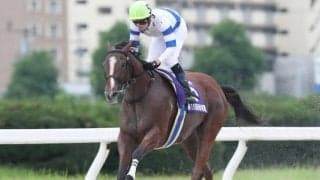 【名古屋・秋桜賞結果】大井のグランデストラーダが7馬身差圧勝