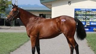 総売上は約70億円と過去最高に　最終日まで活況が続いたサマーセール